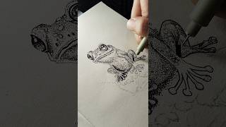 Stippling Art of a Frog [upl. by Napra917]