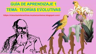 GUÍA TEORÍAS EVOLUTIVAS [upl. by Ainoloppa]