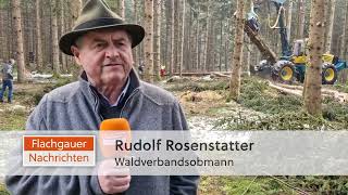 Waldbauern warnen vor den Folgen neuer EUGesetze [upl. by Alwyn]