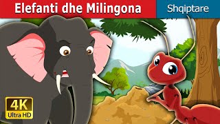 Elefanti dhe Milingona  Elephant and Ant in Albanian  AlbanianFairyTales [upl. by Erb]