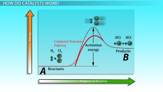 Physical sciences grade 12  effect of CATALYST on the reaction  Msaidi  ThunderEDUC [upl. by Drofnas]