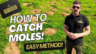 How To Catch Moles  Easy Method [upl. by Toor]