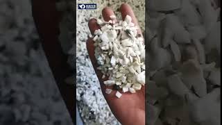 Pegmatite quartz separating experiment with AI sorting machine mineralsorting oresorting [upl. by Thanos689]