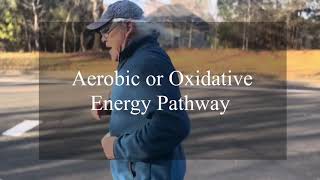 Preventing Type 2 Diabetes With Metabolic Conditioning Demystifying The Three Energy Pathways [upl. by Esor66]