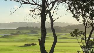 Long Reef Golf Club In Sydney Amazing place🤩 [upl. by Allenod]