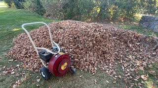 Giant Vac Leaf Blowers 2024 Leaf Season Part 1 [upl. by Laith]