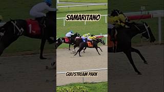 Samaritano and apprentice Melvis González winning race 5 for Kathleen OConnell GulfstreamPark [upl. by Ecnaret]