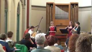 J S Bach Schafe können sicher weiden  performed by Scherzi Musici [upl. by Eustache]