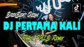 DJ PERTAMA KALI VIRAL TIKTOK  REMIX [upl. by Evot964]