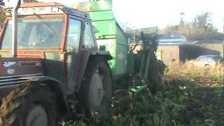 Armer Harvesting Fodder Beet Tipperary [upl. by Anirpas]