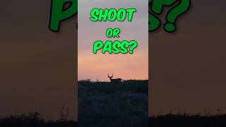 Shoot or Pass Sticker Buck [upl. by Levitan]