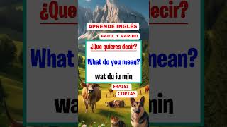 FRASES CORTAS en ingles [upl. by Walley]