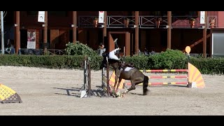 Horse jump fail compilation  SLaudiovisual 2015 [upl. by Yelah]