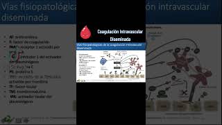 VÍAS FISIOPATOLÓGICAS DE LA COAGULACIÓN INTRAVASCULAR DISEMINADA [upl. by Atteras]