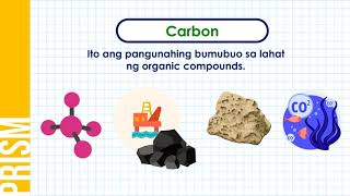 Ano ang Biogeochemical Cycle [upl. by Phila]