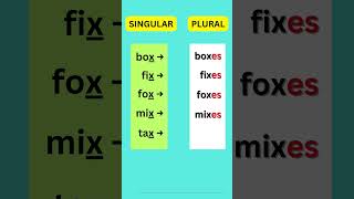 English Grammar Lessons nonus plural english ESL learnenglish education grammar quiz [upl. by Eiduam485]