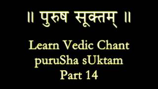 PuruSha sUktam Part 14 [upl. by Diahann787]