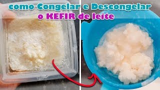 COMO CONGELAR E DESCONGELAR O KEFIR  TAMIRES MOTA [upl. by Koralie615]