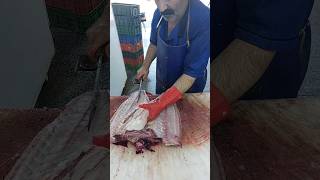 www How To Fillet Red Snapper [upl. by Abibah]