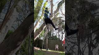 Rope Climbing Rescue ⛑🐨🦄 shorts ropeclimbing rope ropeclimb fyp shortsfeed rescue dropbears [upl. by Dnalram398]