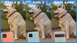 Google Pixel 6 Pro vs Pixel 5 vs Pixel 4 XL Camera Comparison  December camera update [upl. by Ikram363]