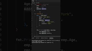 Nested Structs golang golangtutorial basic basicsofgolang programming coding code structure [upl. by Demb]