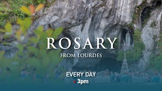 Rosary from Lourdes  07102024 [upl. by Llieno]