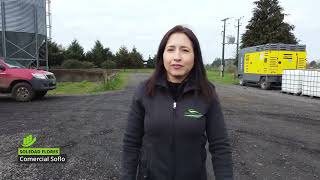 Testimonio Soledad Flores de Comercial Soflo  Programa Agro Escala [upl. by O'Shee]