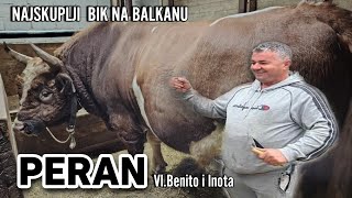 BIK OD 40000 EURA PERAN OD BENITA I INOTE [upl. by Ranit]