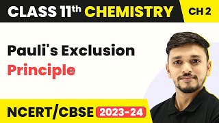 Paulis Exclusion Principle Class 11  Structure of Atom  Class 11 Chemistry IITJEENEET [upl. by Ebarta]