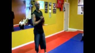 Professor Watts of the Wing Chun and Chun Jitsu Ryu system PT 3 [upl. by Anen]