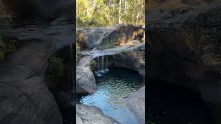 amazing Waterhole blackdown Tableland National Park [upl. by Gauldin560]