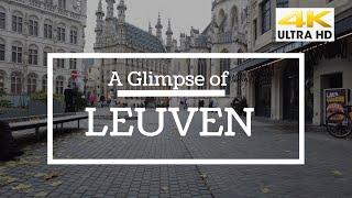 Virtual walk in the city of Leuven Belgium 4K  A Glimpse of [upl. by Cinom]