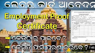 How to Fillup Labour Card Employeement Certificate ll Online Apply Labour Card odishayoutubevideo [upl. by Hardy]