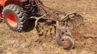 Kubota L3901 disc harrow [upl. by Hinda262]