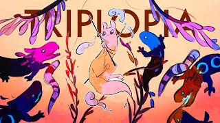 Triplopiarain world community challenge [upl. by Ruperto]