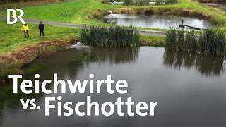 Dürfen Fischotter zum Schutz der Fischzucht gejagt werden  Landwirtschaft  BR [upl. by Bonneau]