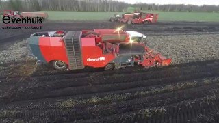 Aardappelen rooien met Dewulf kwatro Dewulf RQA 3060 en Grimme varitron 470 [upl. by Hammer237]