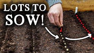 How to Bulb planting [upl. by Bound540]