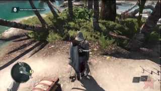 Assassins Creed IV Treasure 901 263  Punta Guarico [upl. by Yetsirhc]