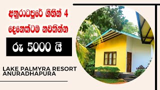 අනුරාධපුර නවාතැන්  Hotels in Anuradhapura  Lake Palmyra Resort Anuradhapura [upl. by Leisha]