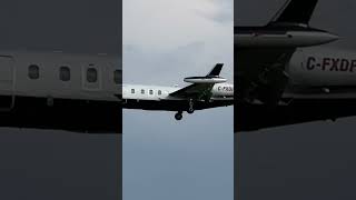 SkyCare IAI 1124 Westwind Air Ambulance landing at YYZ shorts shortsvideo aviation yyz plane [upl. by Farica]