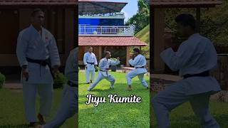 Jiyu Kumite  Karate Do Spirit Tour [upl. by Erialb]