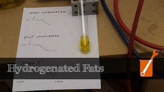 Hydrogenation transform liquid oil into solid fat [upl. by Notnirt]