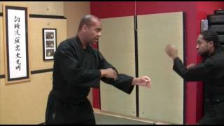 Todai Ninjutsu Training vs Combat  Blocking [upl. by Erdnaxela468]