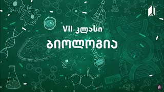 4  ბიოლოგია VII კლასი  ცხოველთა სამეფო  ჭიები [upl. by Eikram]