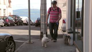 Frank amp the dogs do Greencastle to Moville [upl. by Nerreg]