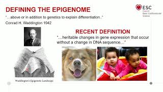 Epigenomics and transcriptomics [upl. by Annet]