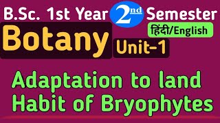 Adaptation to land Habit of BryophytesAdaptation to land Habit in HindiBSc 2nd Semester Botany [upl. by Dremann]