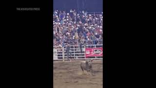 Bull escapes Oregon rodeo arena in ‘alarming’ but ‘very rare’ event [upl. by Storer]